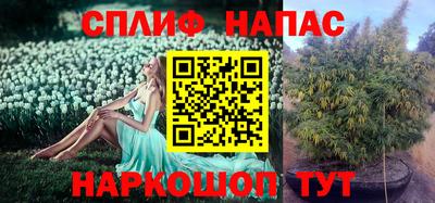 тгк Коммунар